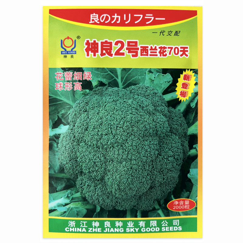 西兰花种子早中熟抗病速生