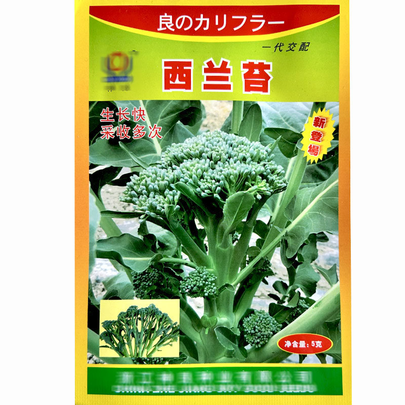西兰苔种子甜杆西兰苔种子杂交蔬菜籽侧苔多口感好春季秋季菜花苔