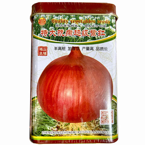 超级紫红紫皮洋葱种子250克特大抗病半高桩高产紫星皮洋葱种籽孑