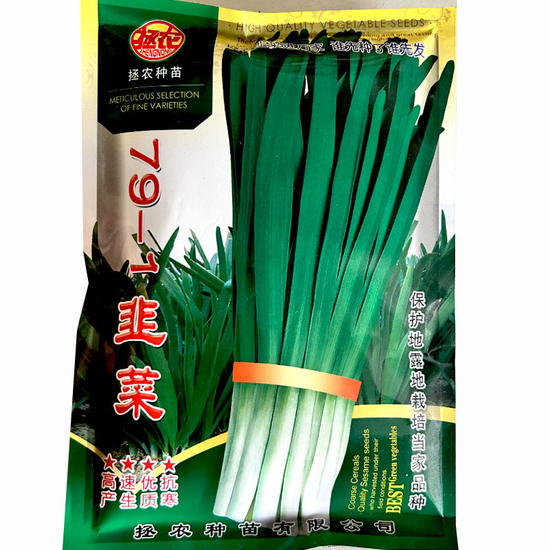 宽叶韭菜种子791韭菜宽叶韭菜休眠耐寒春秋季种植绿肥白根香味浓