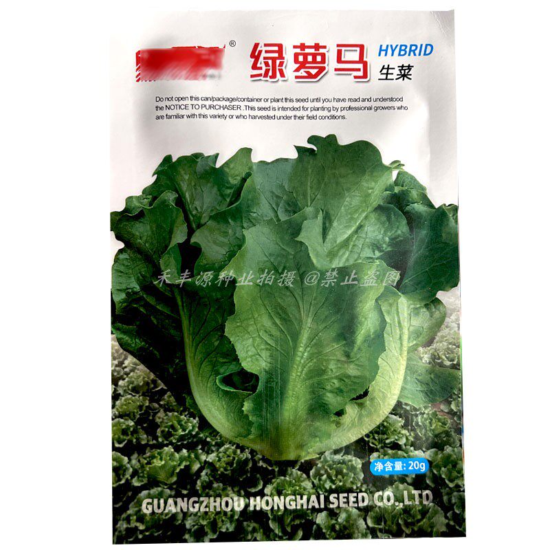 啊牛绿萝马生菜种子20g深绿罗马生菜种耐热耐抽苔爽脆味采收期长