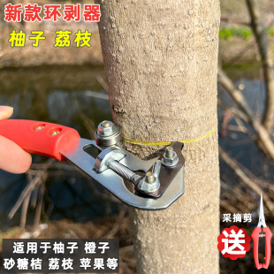 桔子柚子荔枝环割刀砂糖橘环剥苹果蜜柚柑橘剥皮工具0号2号3号
