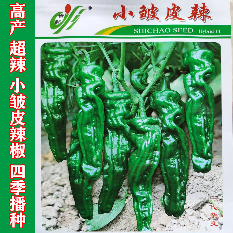 超辣皱皮辣椒种子薄皮辣椒种子泡椒春季夏四季高产盆栽蔬菜种籽孑