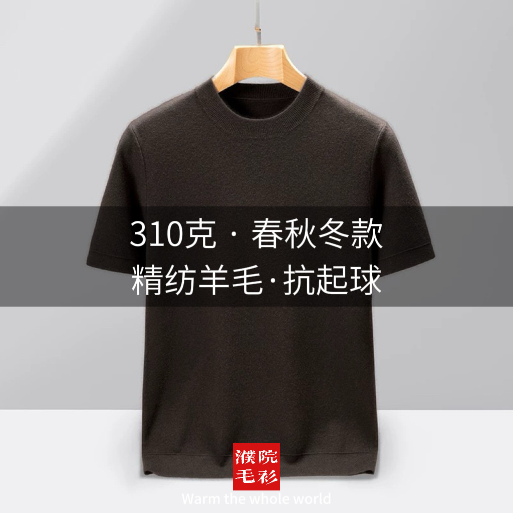 濮院羊毛衫精纺4级抗起球男士短袖针织衫圆领310克春秋冬款可机洗