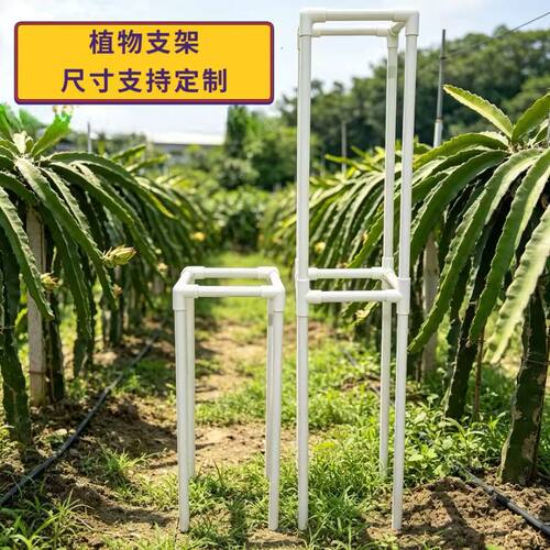 火龙果支架PVC园艺植物支架定制