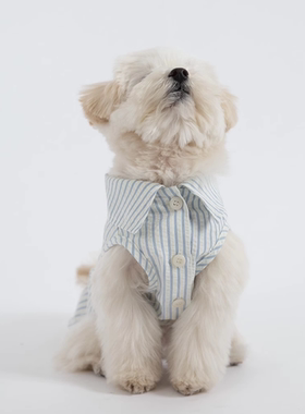 韩国代购Dverry宠物无袖衬衫条纹背心 蓝色纯白打底衫立领 小型犬