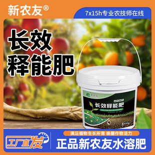 长效释能肥柑橘槟榔果树补营养改树势保花保果增产生物肥通用