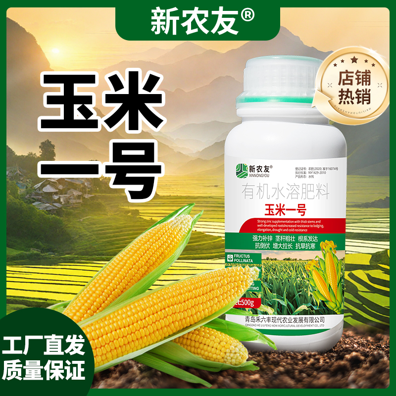 新农友玉米一号籽粒饱满