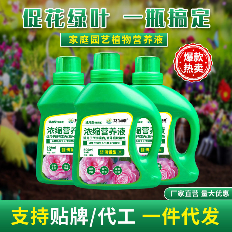 艾尚棵植物浓缩营养液通用家用室内绿植花卉花肥料多肉幸福树 - 实物图