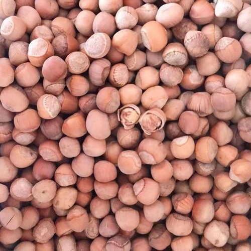 塞罕坝特产承德围场榛子小榛子生榛子熟的原味坚果年货礼盒