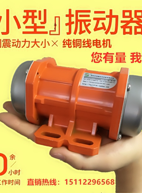 振动电机小型震动马达220V380V震动电机30W150W HY-0.1微型震动器