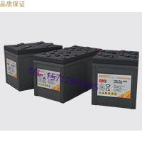法国路盛蓄电池12LPG75电源12V75AH原装正品 质保三年免维护包邮