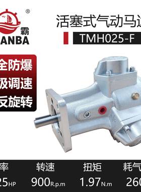 厂家直供瑞安活塞式气动马达TM025-F带法兰可配减速机高扭矩