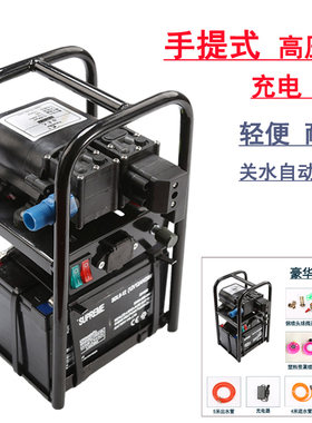 手提式双核泵12V大电瓶园艺雾化高压管三缸隔膜泵小型电动喷雾器