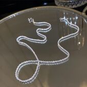 满天星波光粼粼项链高级感轻奢个性 小众简约闪亮素链锁骨链颈链女