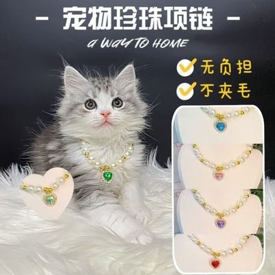 宠物狗狗猫咪项圈珍珠项链吊坠项圈宝石脖圈可爱饰品装饰品幼猫