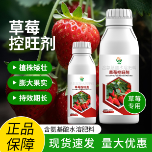 草莓控旺剂增产控旺矮化植株草莓防促长提高免疫草莓专用肥正品