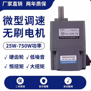 小微型直流无刷交流减速电机220v单相可调变速电机高速恒扭矩马达