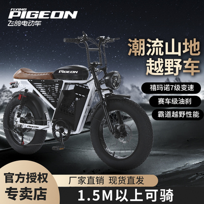 飞鸽RXS电动自行车锂电池电动车