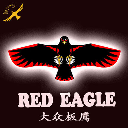 2025飞阳新款网红2米3米老鹰微风板鹰风筝厂家直销成人专业抗大风