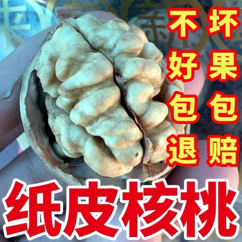 新疆纸皮核桃新鲜生新疆阿克苏