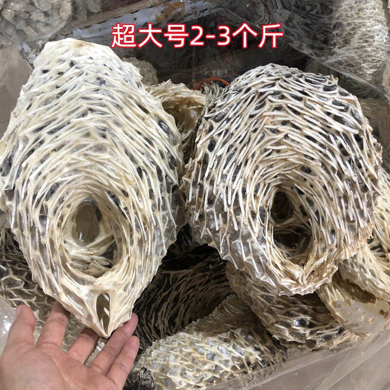 刺龟鱼皮无刺干货海产海南西沙群岛刺豚皮刺鲍鱼去刺海刺猬皮