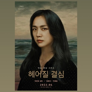 戛纳电影节电影海报装饰画分手的决心掮客驴叫八座山圣蛛亲密加框