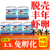 脱壳丰年虾卵脱壳卵免孵化幼鱼开口鱼粮小型鱼天然鱼食高蛋白饲料