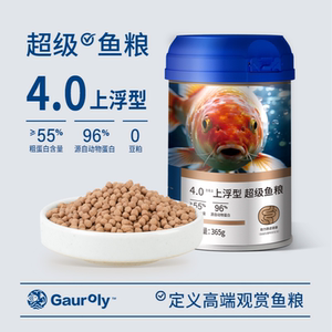 高肉力4.0mm上浮型金鱼