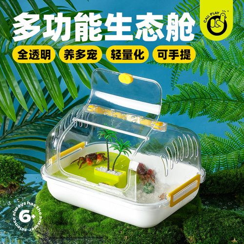 科答鸭多功能生态舱孵化寄居蟹