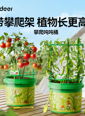 mideer弥鹿攀爬桶儿童植物种植阳光房生长观察盒科学实验玩具礼物