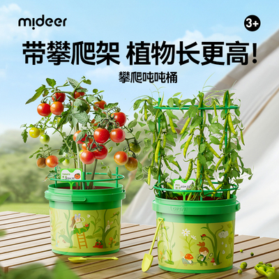 mideer弥鹿攀爬桶儿童植物种植阳光房生长观察盒科学实验玩具礼物