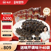 即食海参 40只 大连海参 晓芹 冷冻海参 1080克 辽刺参 海鲜水产
