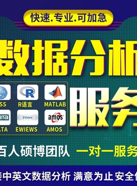 SPSS数据分析服务eviews实证stata调查问卷meta医学amos统计R代做