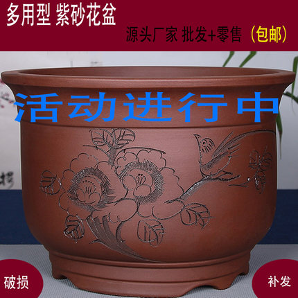 宜兴特价紫砂花盆君子兰花盆菖蒲盆绿萝盆植物盆特大号花盆特价盆