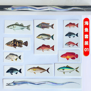 路亚鱼竿贴马口桂鱼军鱼翘嘴黑鲷贴纸垂钓用品钓鱼竿标斑鳜转印贴