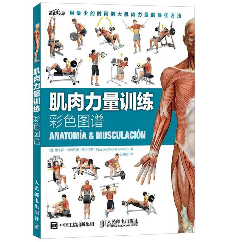 【正版包邮】 肌肉力量训练彩色图谱 (西)里内拉斯　著,汪瑞芳　译 人民邮电出版社
