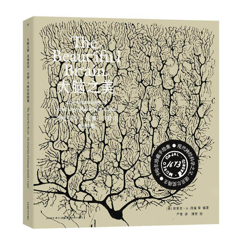 【正版包邮】 大脑之美：圣地亚哥&middot;拉蒙-卡哈尔绘图集 【美】埃里克&middot;A.纽曼等 湖南科学技术出版社