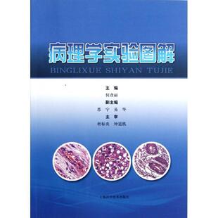 【正版包邮】 病理学实验图解 主编何彦丽 上海科学技术出版社