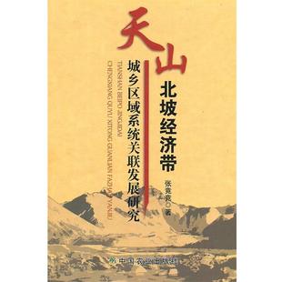 【正版包邮】 天山北坡经济带城乡区域系统关联发展研究 张竟竟　著 中国农业出版社