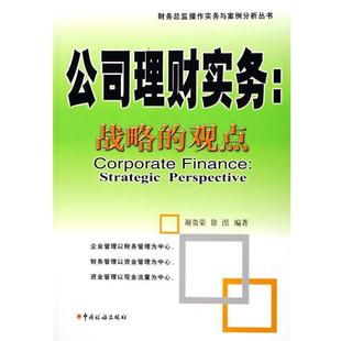 【正版包邮】 公司理财实务:战略的观点 谢贵荣 等 著 中国税务出版社