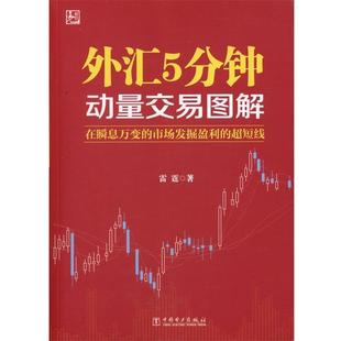 【正版包邮】 外汇5分钟动量交易图解 雷霆 中国电力出版社
