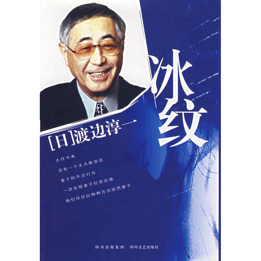 【正版包邮】 冰纹 (日)渡边淳一 姚继中 杨庆庆 四川文艺出版社
