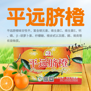 【经典10斤】应季新鲜水果平远脐橙产地直发橙香浓郁富含维C