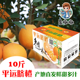 【平远脐橙】正宗平远脐橙广东橙乡很甜的脐橙应季水果香甜多汁