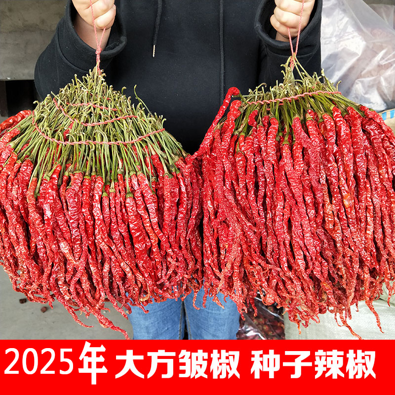 特香贵州大方特产皱椒肉厚二荆条