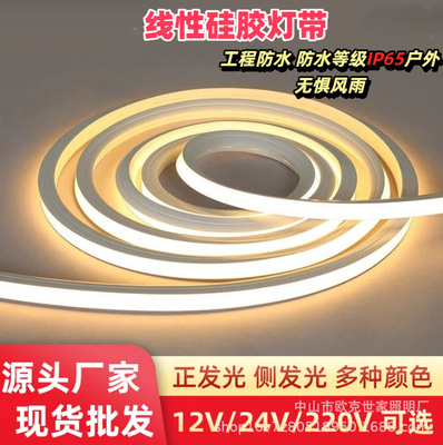 硅胶灯带软灯条 低压 防水户外家装线性霓虹灯带源头厂家smd灯带