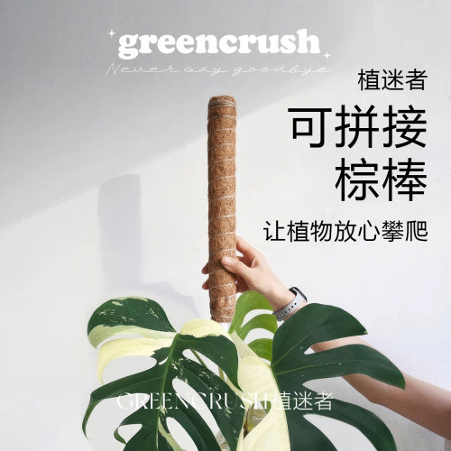 可拼接攀爬植物专用棕棒