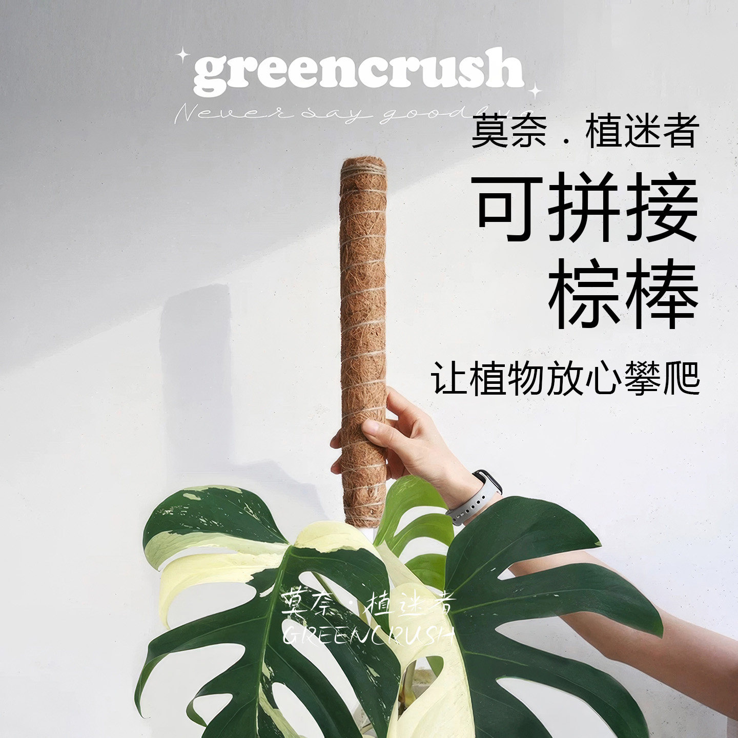 可拼接攀爬植物专用棕棒图片