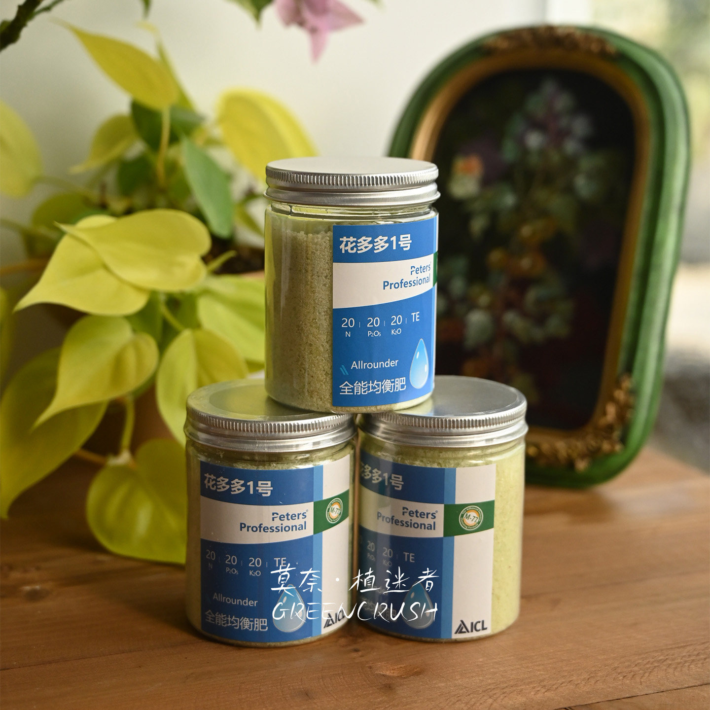 进口官方正品肥料阿吉福释颗粒肥缓释肥速效花多多水溶肥植迷者